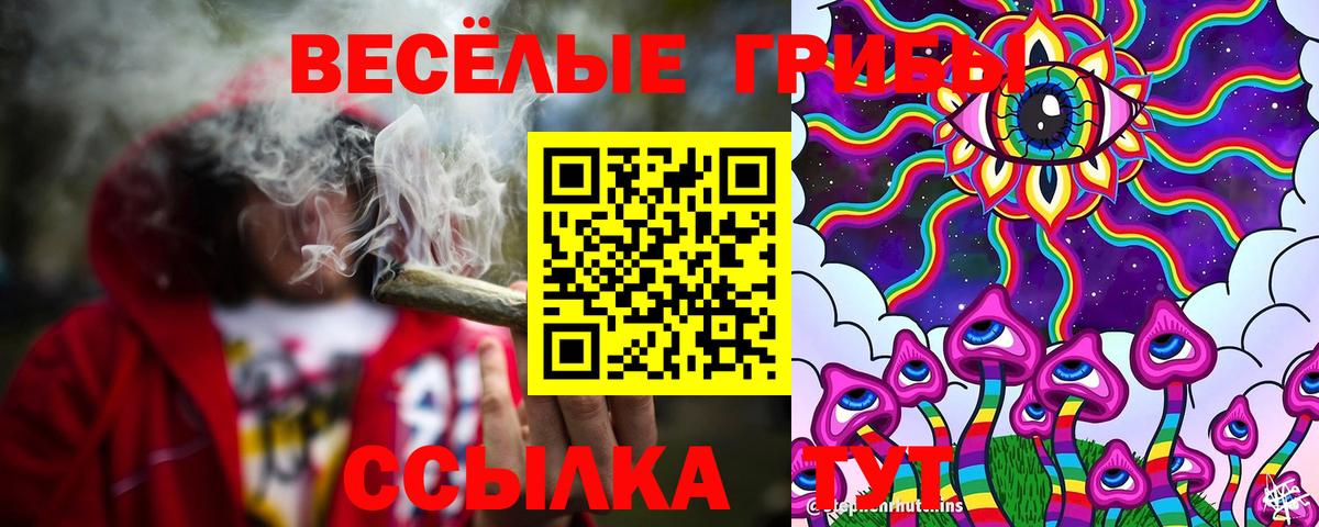 Белово  Галлюциногенные грибы мицелий  Псилоцибиновые грибы Psilocybine cubensis  Вход с VPN 