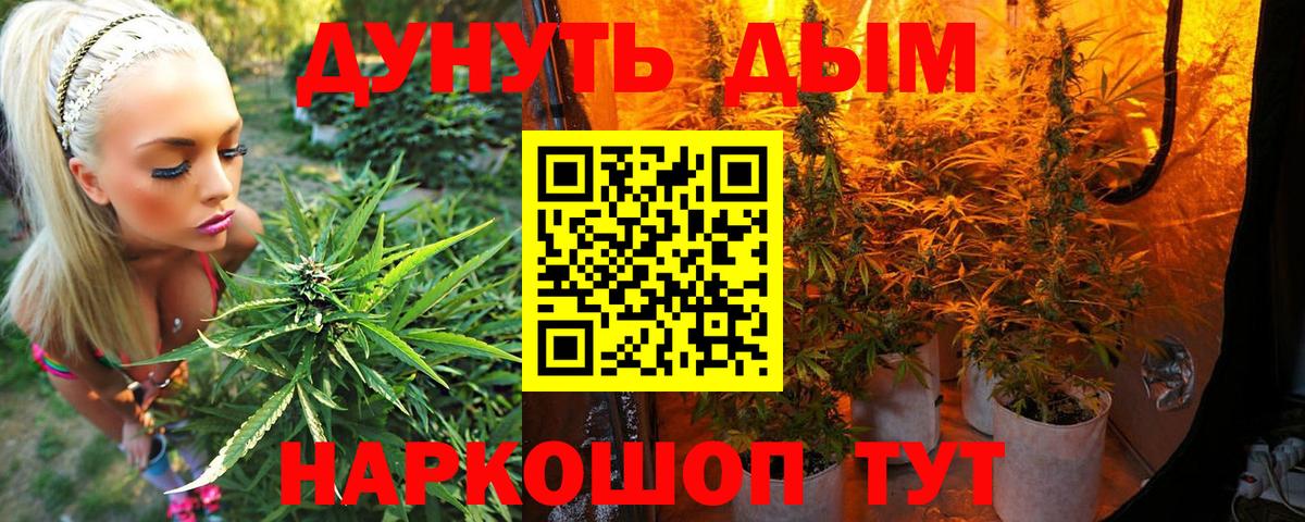 Каннабис конопля Белово